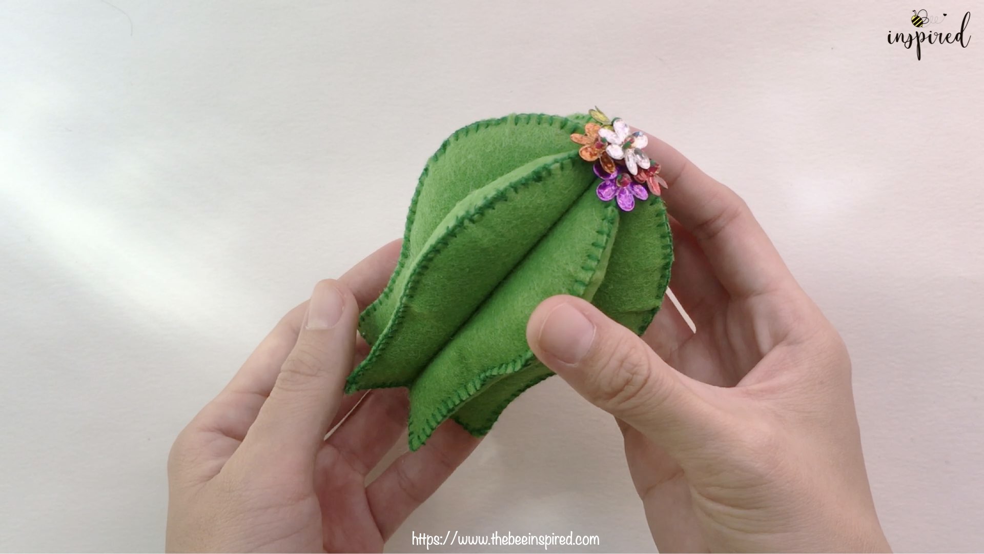 Felt Cactus-Website Pics.009-2